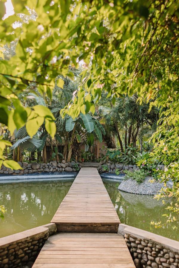 Mandala Eco Villas 拉利伯塔德 外观 照片