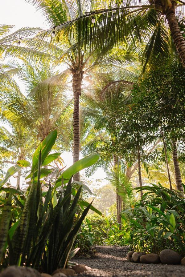 Mandala Eco Villas 拉利伯塔德 外观 照片